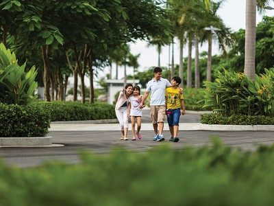 Cuộc sống đô thị ngày càng cần những lá phổi xanh 