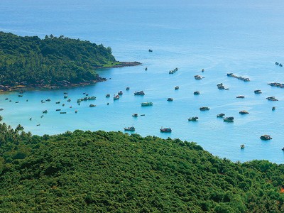 Kỳ vọng cơ chế  quản lý năng động cho đặc khu