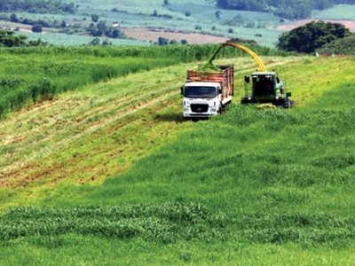 Doanh nghiệp đầu tư vào nông nghiệp, nông thôn sẽ được hưởng nhiều chính sách khuyến khích