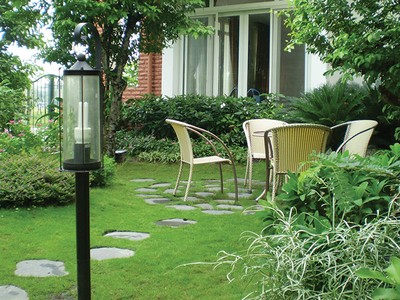 Cây vừa có thể dùng để tạo bóng mát, vừa để trấn phong thủy