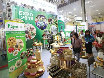 Hapro: Ẩn số mới trên sàn UPCoM