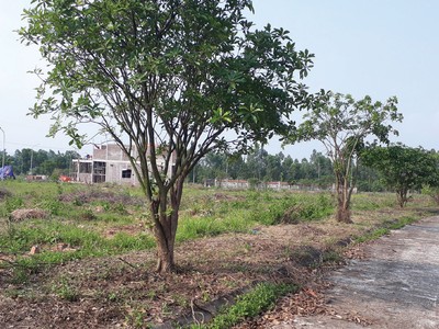 Giao dịch đất phân lô tại các đặc khu tương lai trở nên trầm lắng hơn