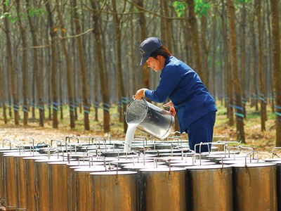 DPR ước đạt 53,1 tỷ đồng lợi nhuận trước thuế trong tháng 4