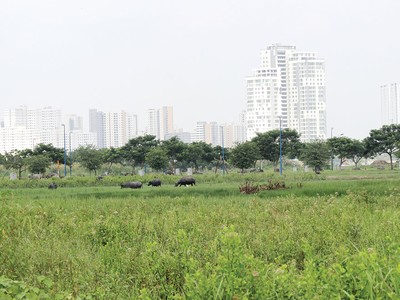 Nở rộ mốt “xí phần” dự án để sang tay kiếm lời