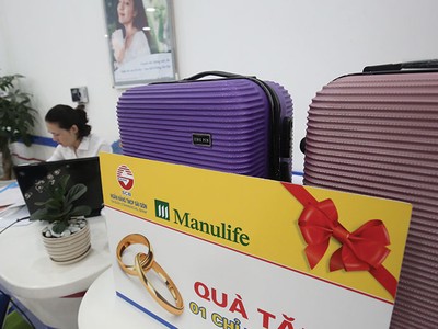 Manulife Việt Nam hiện đang là doanh nghiệp bảo hiểm có thị phần doanh thu từ kênh bancassurancelớn nhất với khoảng hơn 20%
