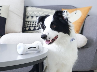 Đồ chơi thông minh tương tác với thú cưng