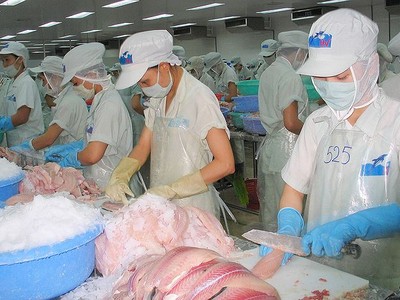 Quý II niên độ 2017-2018, HVG báo lỗ 272 tỷ đồng