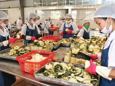 Tổng công ty Rau quả, nông sản chưa có kế hoạch lên sàn