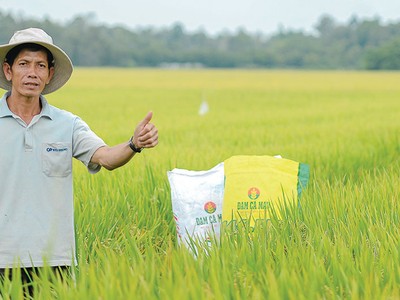 Bộ sản phẩm mang thương hiệu “Đạm Cà Mau – Hạt Ngọc Mùa Vàng” đã trở thành lựa chọn hàng đầu của nông dân 
