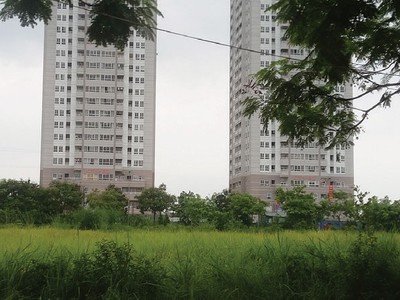 Hà Nội: 206 lượt khiếu nại, tố cáo liên quan đến đất đai