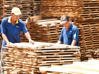 Tập đoàn Cao su (GVR): 6 tháng ước đạt 34% kế hoạch lợi nhuận năm