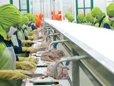 Doanh nghiệp nông nghiệp sốt ruột về vốn và thuế