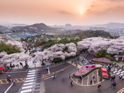 Dễ dàng bay Nhật - Hàn - Đài, săn ngay 200.000 vé từ 0 đồng của Vietjet