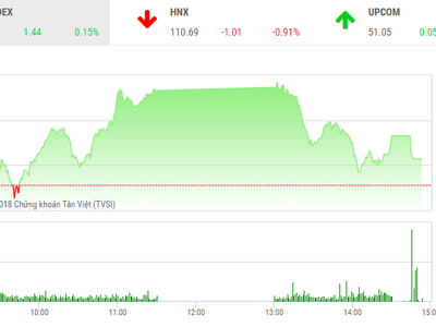 Phiên chiều 10/9: Áp lực bán gia tăng, VIC giúp VN-Index giữ lại sắc xanh