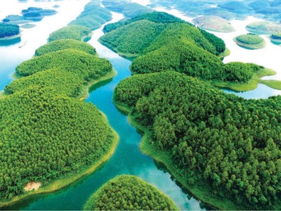 Hoa Sen Group ngừng triển khai dự án bất động sản tại Yên Bái