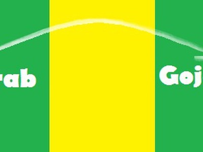 Grab và Go-jek gần đây đã có những động thái mở rộng lĩnh vực kinh doanh, với mục tiêu trở thành “siêu ứng dụng” ở thị trường Việt.