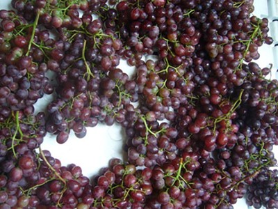 Nho Trung Quốc gắn mác Ninh Thuận bán tràn lan trên thị trường