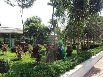 Dự án xanh, xanh theo chuẩn nào?