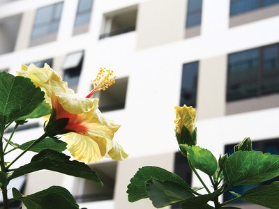 Không gian sống xanh tại Valencia Garden