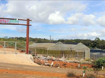 Chậm triển khai dự án nông nghiệp công nghệ cao ở Kon Tum