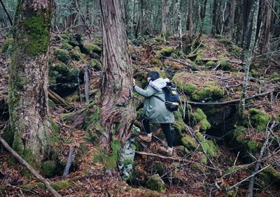 Lan Uyên một mình khám phá khu rừng tự sát.