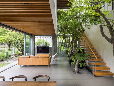 'Khu rừng nhiệt đới' trong ngôi nhà Sài Gòn