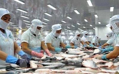 Thủy sản An Giang (AGF): “Mắc cạn” với khoản lỗ lớn