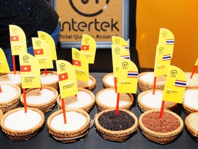 Giá xuất khẩu gạo năm 2018 ở mức 502 USD/tấn, mang về ngoại tệ 3,03 tỷ USD.