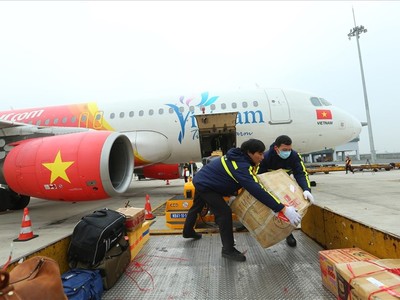 Dự kiến, các hãng hàng không Việt Nam sẽ khai thác 28.500 chuyến bay trong đợt cao điểm vân chuyển Tết Kỷ Hợi 2019.