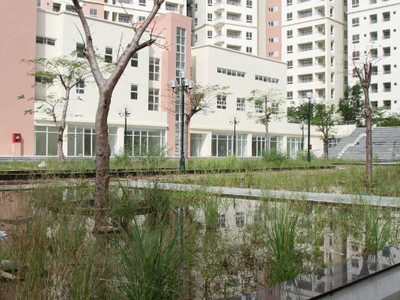 TP.HCM mới hoàn thành 8.550 căn/12.500 nhà ở tái định cư quận 2