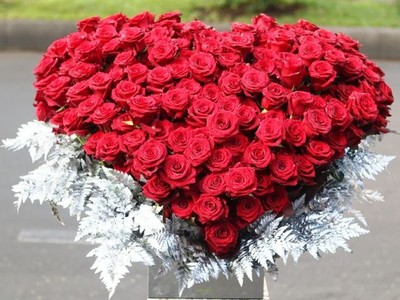 Hoa mao lương, thược dược “khổng lồ”, hàng “cực hiếm” trong dịp 8/3