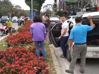Hình ảnh xấu người dân dừng đỗ cả ô tô giữa đường để "hôi"... hoa trên phố Kim Mã sáng 6/3