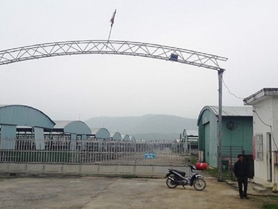 Trang trại nuôi bò của Công ty CP chăn nuôi Bình Hà hiện đang bỏ hoang. Ảnh: Phạm Đức