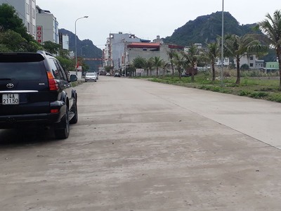 Năm 2019 tâm điểm vẫn là đất nền