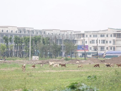 Bổ sung quy định về giá tính lệ phí trước bạ đối với đất