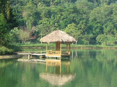 Đến rừng Cúc Phương ngắm hồ điệp, xem lễ hội ánh sáng