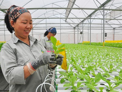 Việt Nam coi người dân và doanh nghiệp là trung tâm của hội nhập quốc tế.