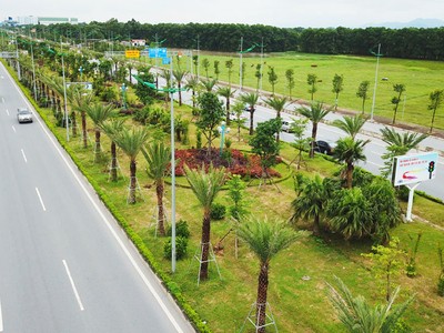 Hà Nội yêu cầu trồng rừng tạo hành lang xanh tại các khu xử lý rác