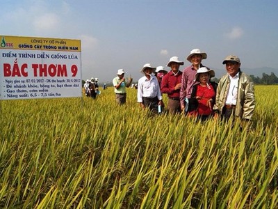 Việc doanh nghiệp thực hiện chính sách bán chịu tuy có tác dụng kích thích khách hàng mua hàng nhiều hơn, nhưng đi kèm với đó là rủi ro phát sinh nợ xấu.