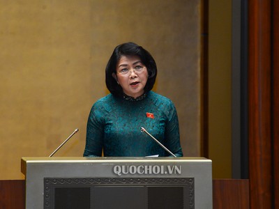 Phó Chủ tịch nước Đặng Thị Ngọc Thịnh trình bày Tờ trình về việc gia nhập Công ước số 98