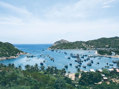 Với nhiều lợi thế sẵn có, Ninh Thuận đang là điểm đến đầy hứa hẹn của các nhà đầu tư