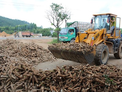 Xuất khẩu sắn và các sản phẩm từ sắn 5 tháng 2019 ước đạt 414 triệu USD, giảm 17,6 % về khối lượng và giảm 11% so với cùng kỳ năm 2018.