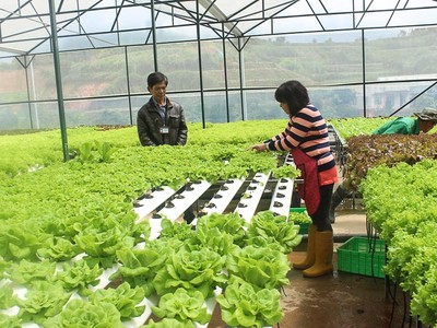 Nông nghiệp là mảng khởi nghiệp rất triển vọng.