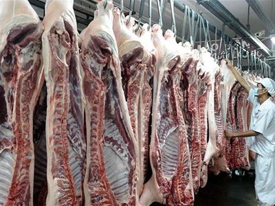 Khoảng 3.600 tỷ đồng đã bị “thổi bay”, doanh nghiệp vẫn e ngại cấp đông thịt lợn