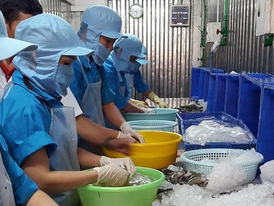 EVFTA không chỉ mang đến những dòng thuế được xóa bỏ, mà còn gia tăng cơ hội xuất khẩu cho các mặt hàng mà Việt Nam đang có lợi thế, như dệt may, da giày, nông thủy sản….