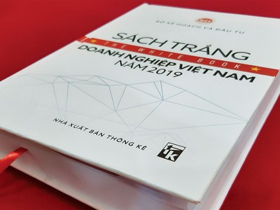 Sách trắng Doanh nghiệp 2019