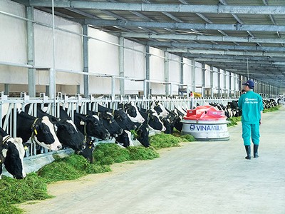 TP.HCM sẽ hình thành KCN dành cho DN khởi nghiệp ứng dụng công nghệ cao