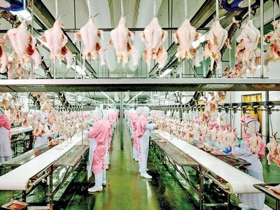 Các dây chuyền chế biến gia cầm hiện đại góp phần quan trọng giá tăng giá trị nông sản.