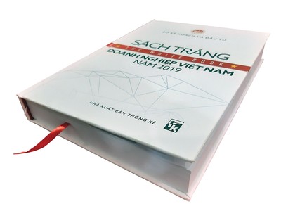 Nhận diện dòng chu chuyển vốn qua Sách trắng 2019