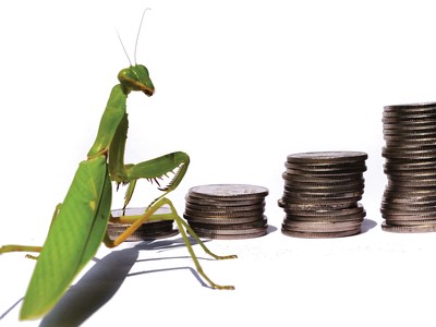 Hãy giao dịch như một thợ săn thực thụ